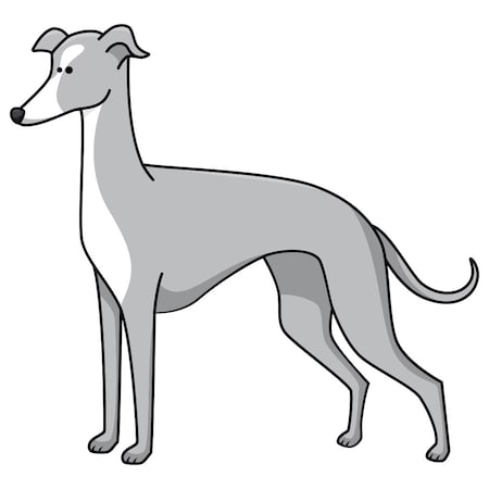 Signmission Greyhound Dog Decal, Dog Lover Decor Vinyl Sticker D-12-Greyhound
